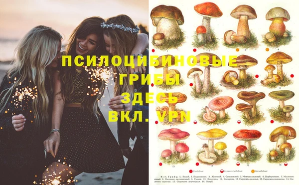 не бодяженный Балабаново